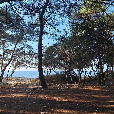 بيت للعطل Seaside Barbariga بيروغ
