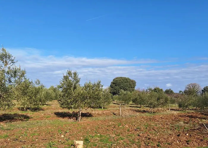 Seaside Barbariga Vakantiehuis Peroj