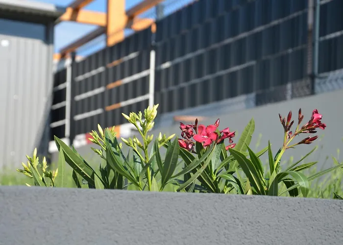 Vakantiehuis Seaside Barbariga Peroj