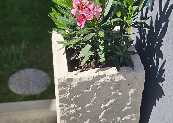 Seaside Barbariga Vakantiehuis *