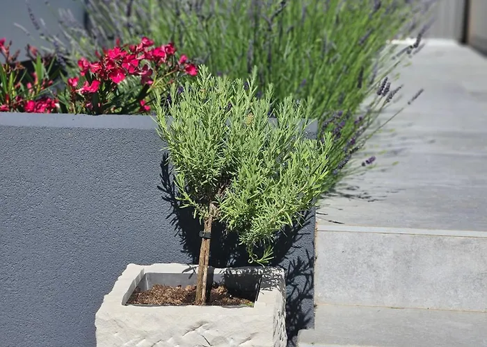 Seaside Barbariga Vakantiehuis Peroj